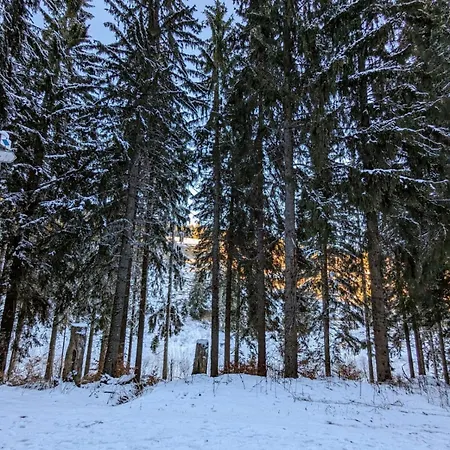 Apartman Stallzauber Feldberg